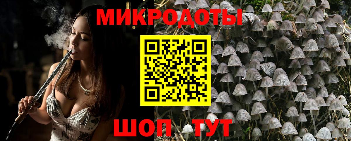 Псилоцибиновые грибы MAGIC MUSHROOMS Кондопога