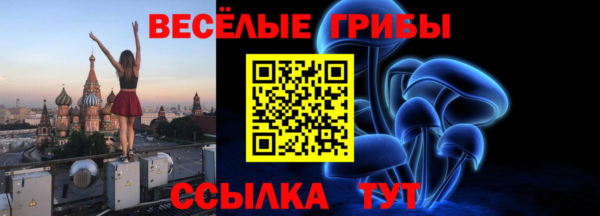 Псилоцибиновые грибы мицелий  цены наркотик  Вход с VPN  Кондопога  Псилоцибиновые грибы Psilocybine cubensis 